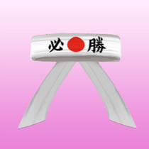 Martial Arts Headband.png