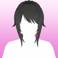 Hair 1a