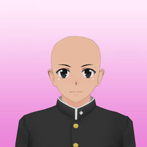 Hairstyle 0.png