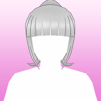 Hair 23b
