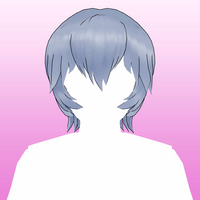 Hair 11b