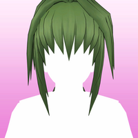Hair 42b