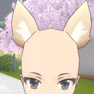 FoxEars (WARNING! TWO ACCESSORIES HAVE THE SAME REFNAME)