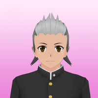 Hairstyle 23