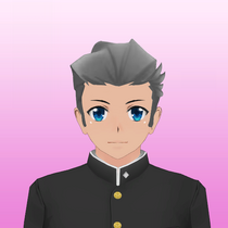 Hairstyle 17 V3.png