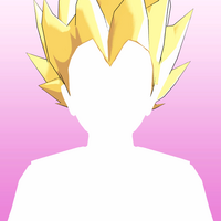 Hair 14b