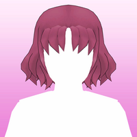 Hair 21b