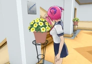Sakura arrosant une plante.
