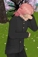Otohikoshy