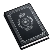 Lost Library Book (Inventory)