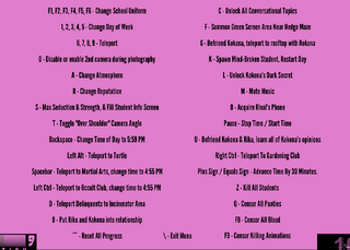 Debug menu.png