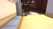 Honami crushed by the bookshelf.
