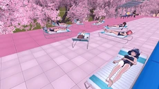 Rich Girls Sunbathing Near The Pool