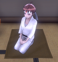 Shima observing  and .