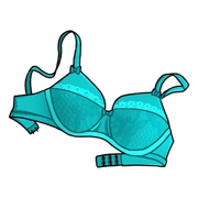 Lost Bra (Inventory)
