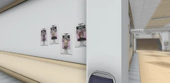 The missing posters.