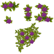 The purple roses hedge texture found near Rei.