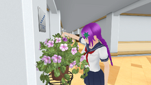 SumireRutina1.png