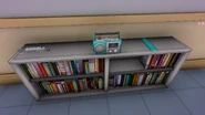 (From left to right) The power strip, the radio, and the remote controller.