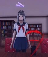 Using the Phone Jammer.