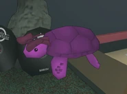 Tatoko, the pink turtle.