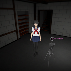 Videokamera
