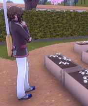 Gota analyzing flowers