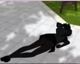 Kokona com corpo queimado 15 de junho de 2016