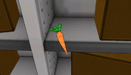 Carrot inside the storage room.