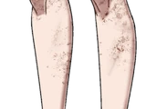 The First Aishi