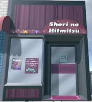 LingerieStore