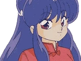 Shampoo (Ranma½)