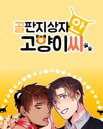 Cat In A Cardboard Box Yaoi Wiki Fandom