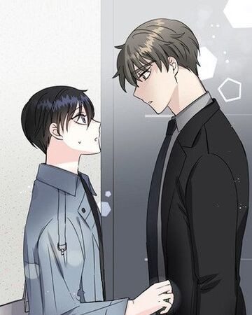 Love Percentage Yaoi Wiki Fandom