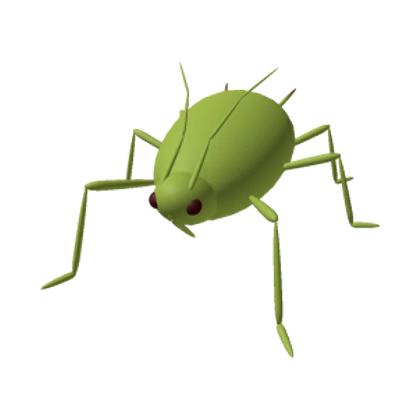 Myzus persicae | Yardlands Wiki | Fandom