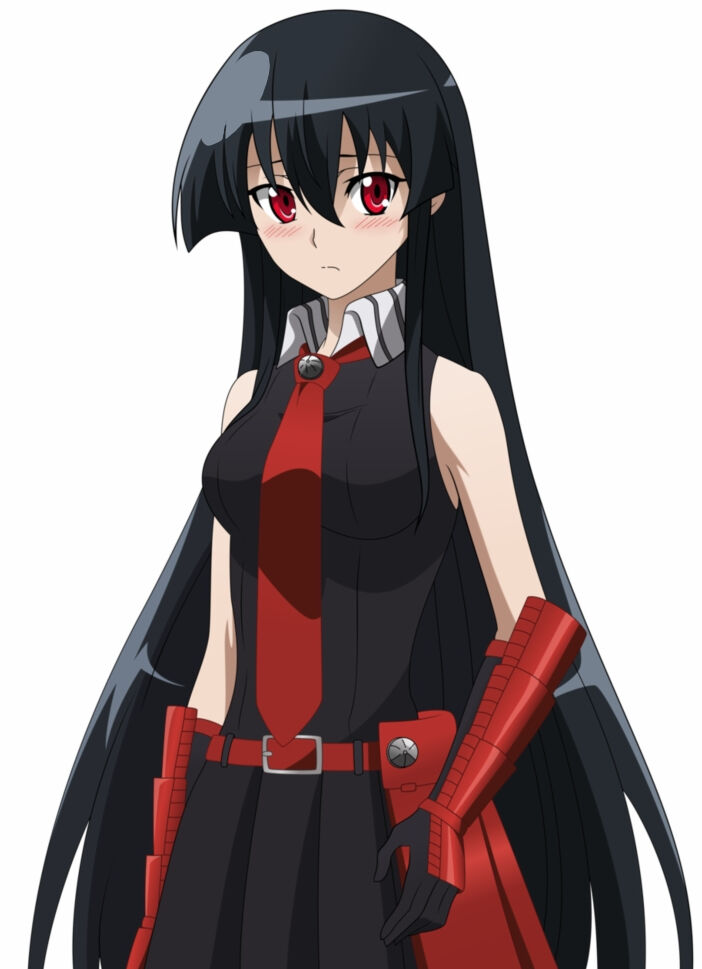 Akame ga Kill!, Anime Voice-Over Wiki