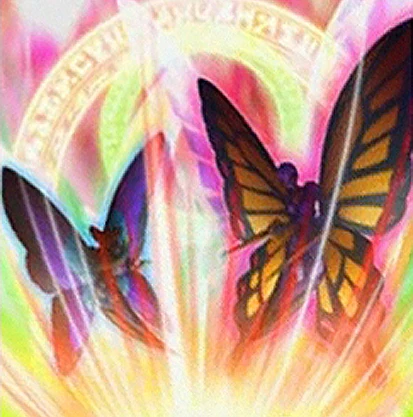luna deck yugioh 5ds Amazon.com: Complete Custom Deck for Yu-Gi-Oh! 5D's