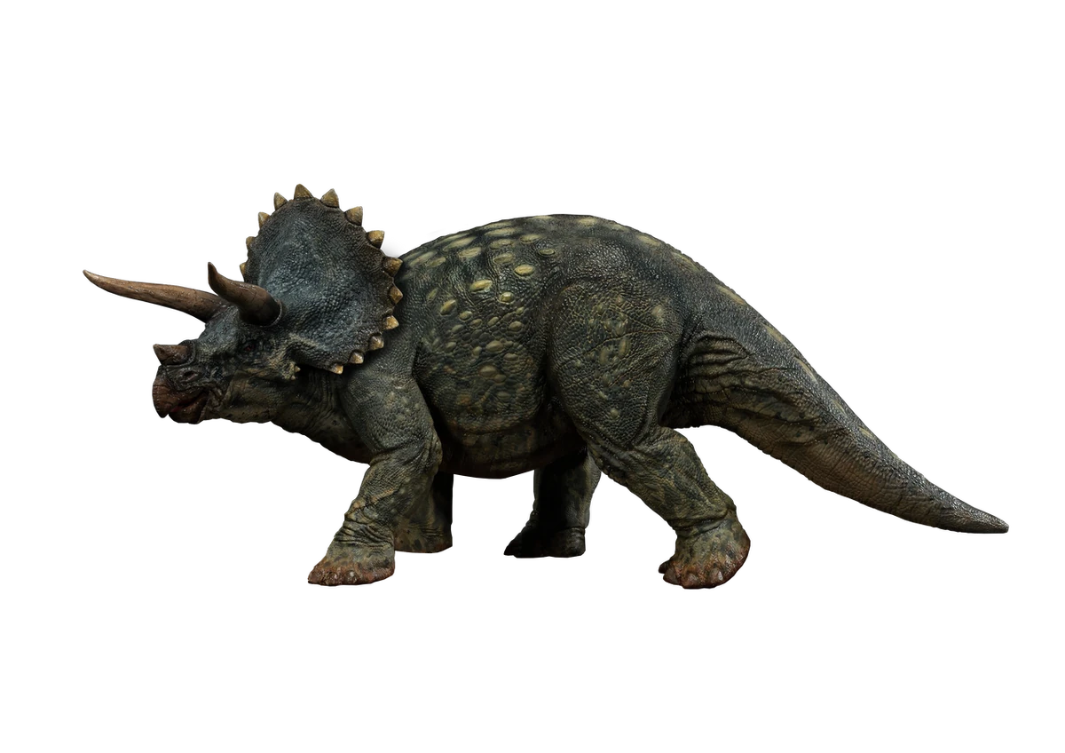 Triceratops | YeebaVerse Wiki | Fandom