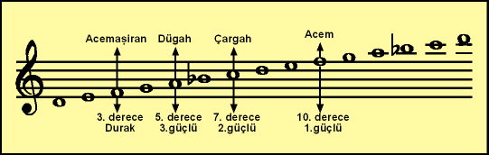 Acemasiran.gif
