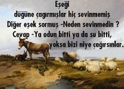 Eşek düğüne çağılılmış.jpg