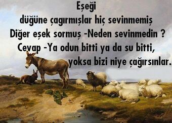 Essek Siirleri Yenisehir Wiki Fandom