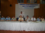 DSC04381.jpg