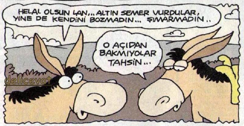 fandom