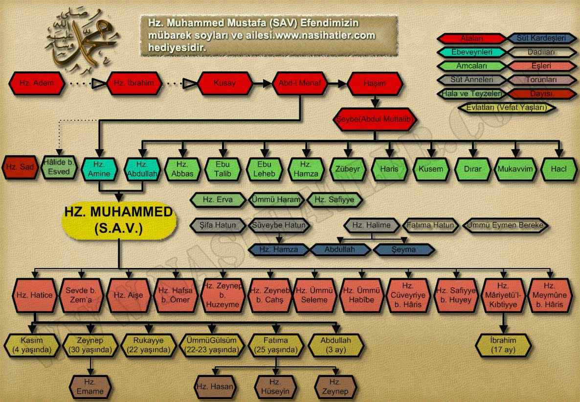 Hz muhammedin soyu Hz. İbrahim'in hangi oğluna dayanır?
