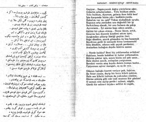 Seyfi baba 3.jpg