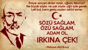 Irkına çak