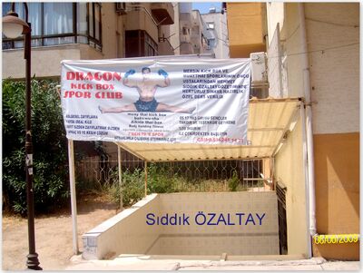 DRAGON-SIDDIK ÖZALTAY.jpg