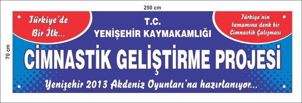 Cimnastik geliştirme projesi afişi.jpg