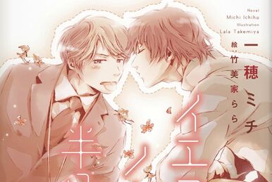 Yes No or Maybe Half light novel Yes ka No ka Hanbun ka Wiki Fandom