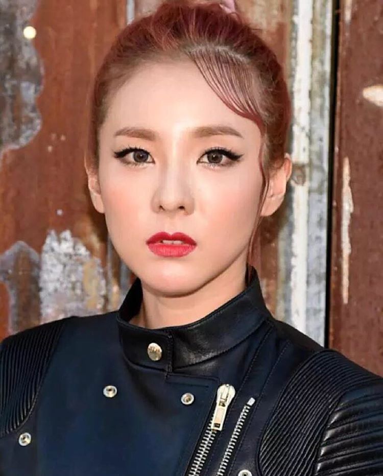 2ne1 dara